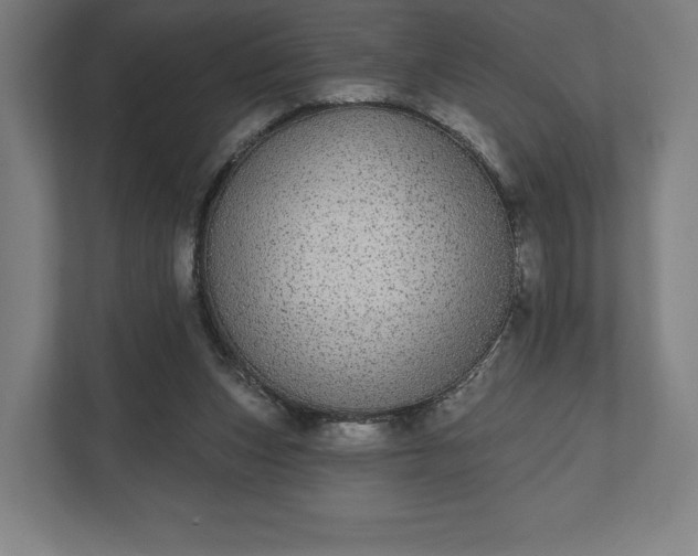 X0000110860159200906251215