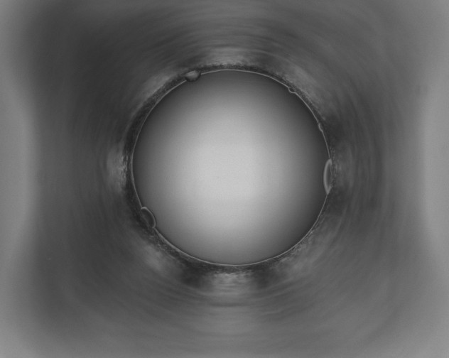 X0000110860160200906251215