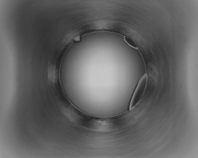 X0000110860164200906251215