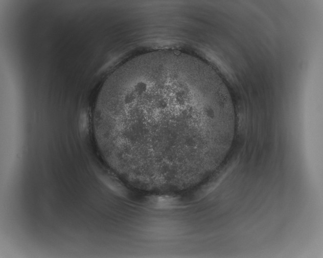 X0000110860165200906251215