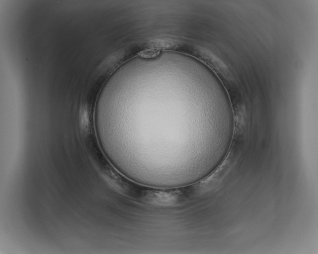 X0000110860166200906251215