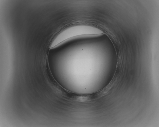 X0000110860168200906251215