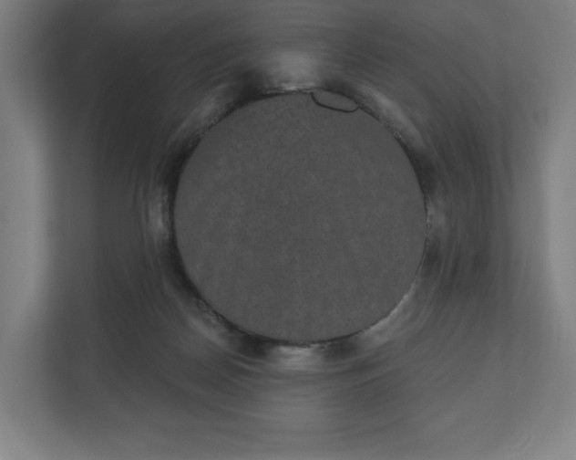 X0000110860170200906251215