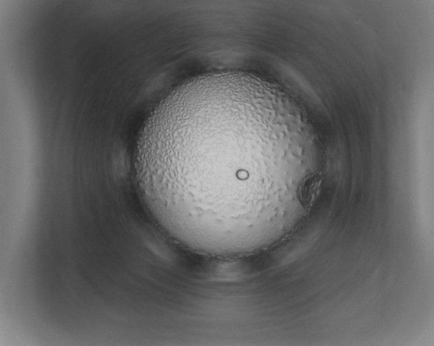 X0000110860173200906251215