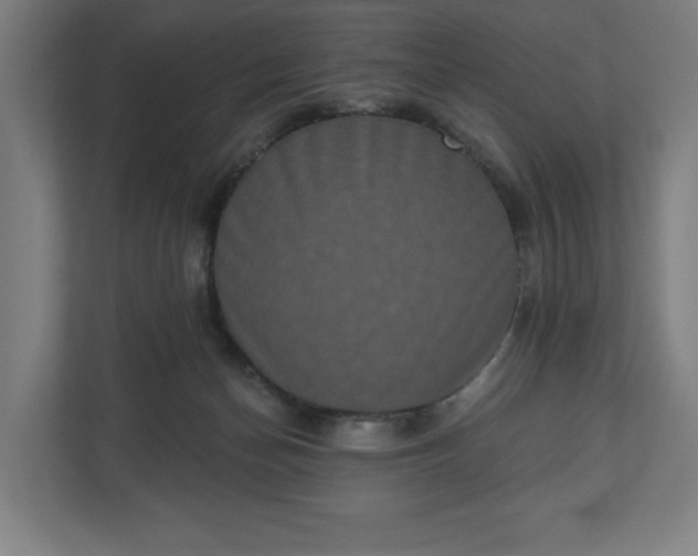 X0000110860174200906251215