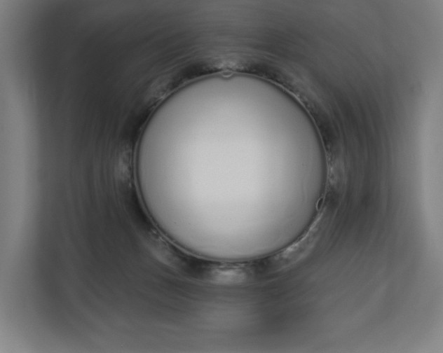 X0000110860175200906251215