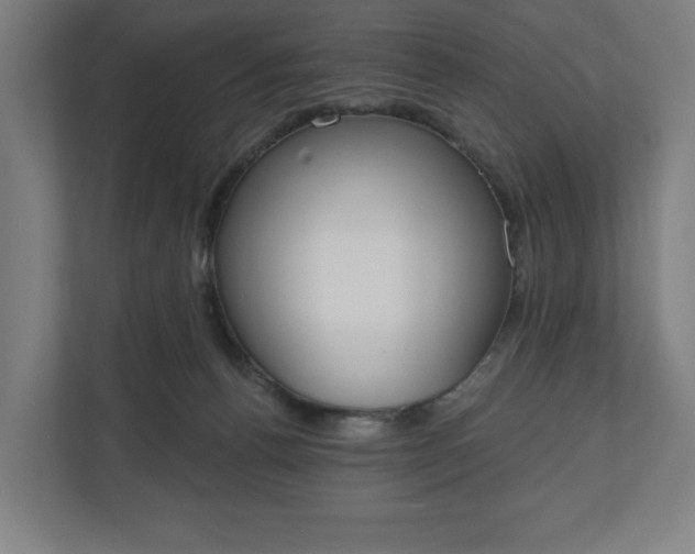 X0000110860176200906251215