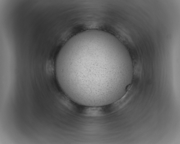 X0000110860179200906251216