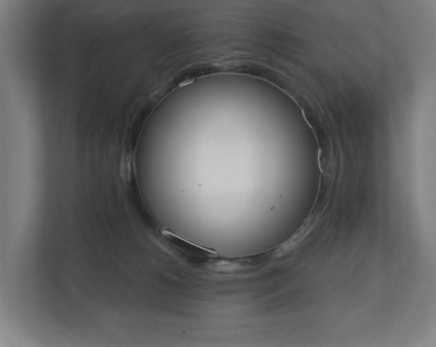 X0000110860180200906251216