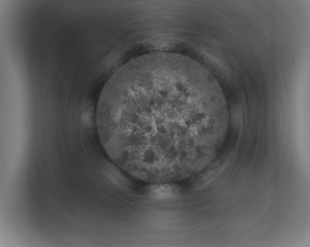 X0000110860181200906251216