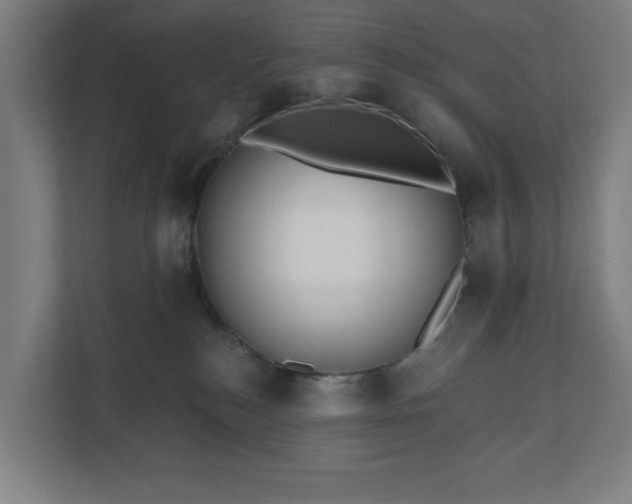 X0000110860184200906251216