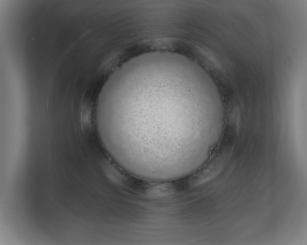 X0000110860185200906251216