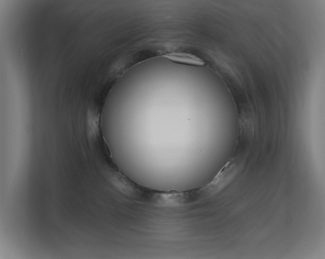 X0000110860188200906251216