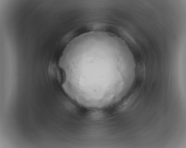 X0000110860189200906251216