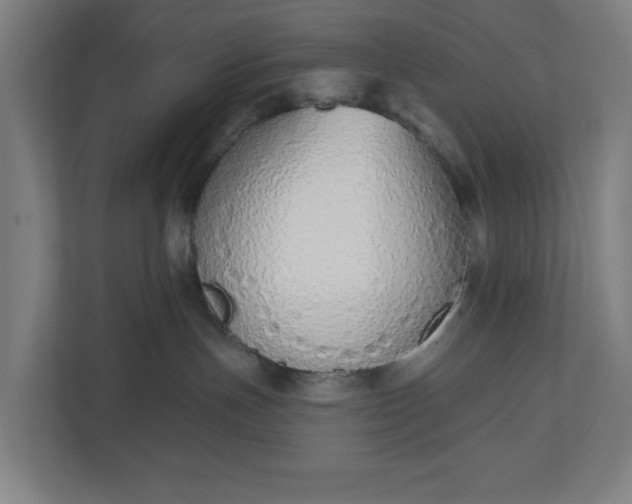 X0000110860191200906251216