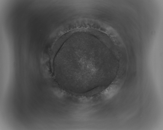 X0000110860192200906251216