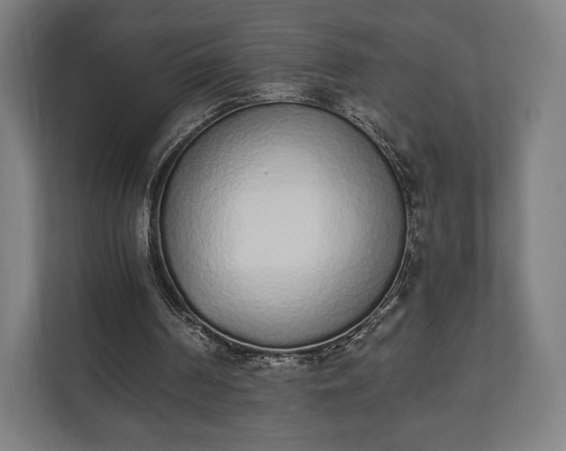 X0000110860194200906251215