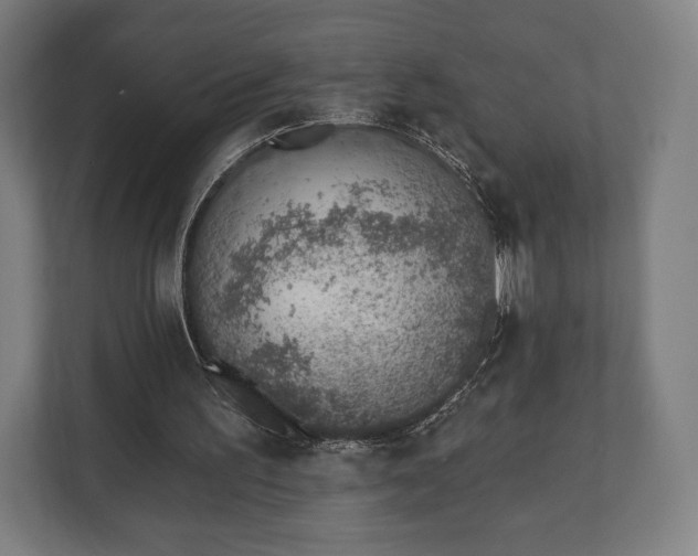 X0000110860195200906251215