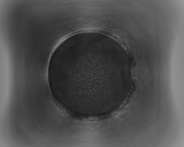 X0000110860196200906251215