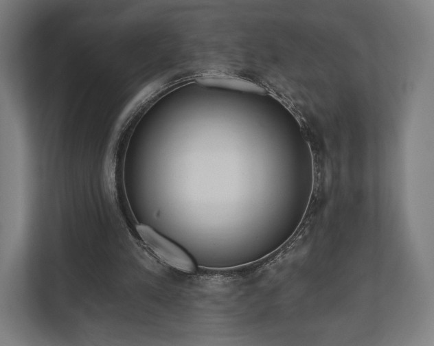 X0000110860197200906251215