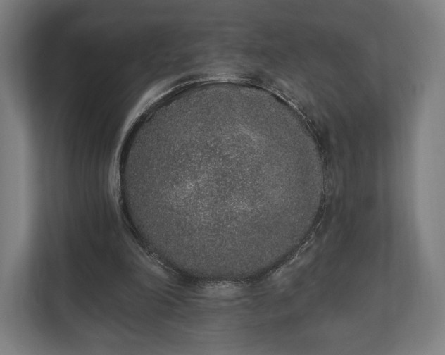 X0000110860198200906251215