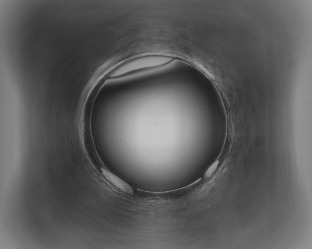 X0000110860199200906251215