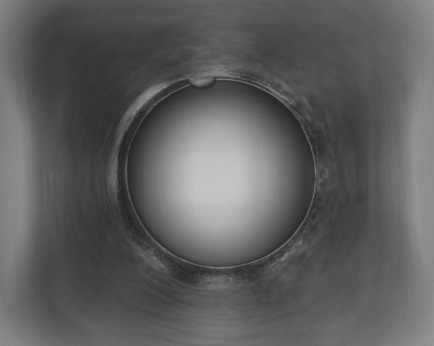 X0000110860200200906251215