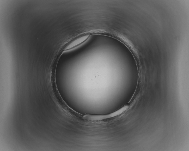 X0000110860201200906251215