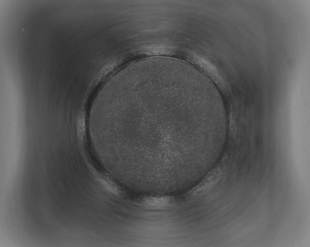 X0000110860202200906251215