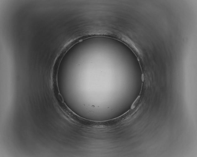 X0000110860203200906251215