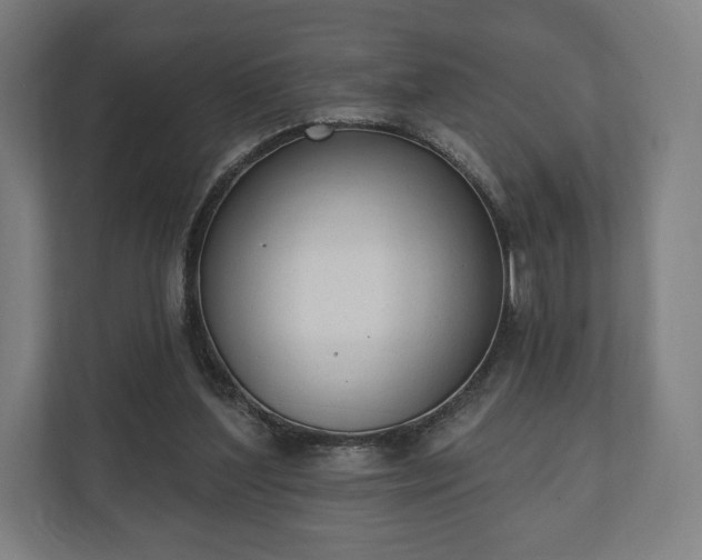 X0000110860204200906251215