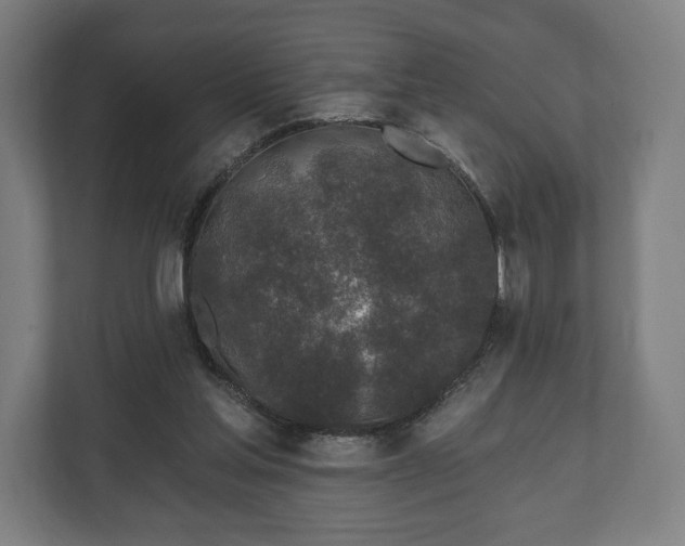 X0000110860205200906251215