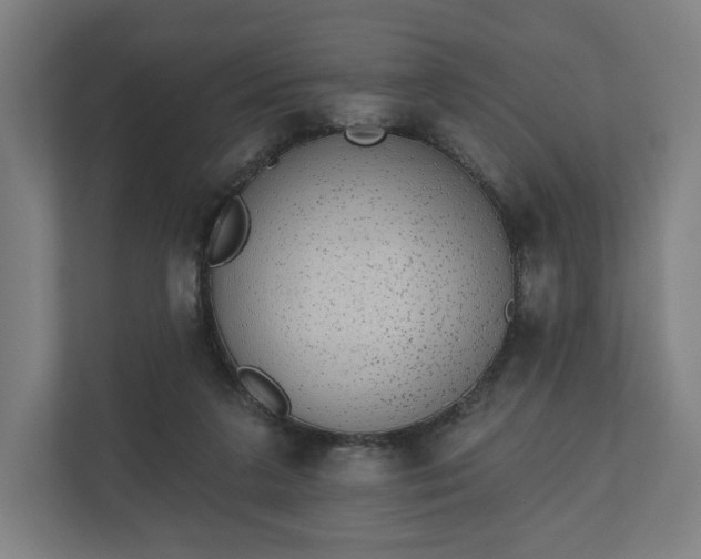 X0000110860211200906251215