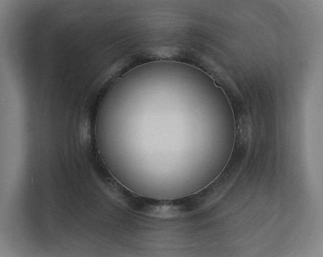 X0000110860212200906251215