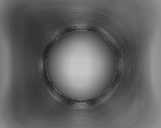 X0000110860213200906251215