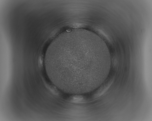 X0000110860214200906251215