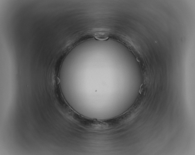 X0000110860215200906251215