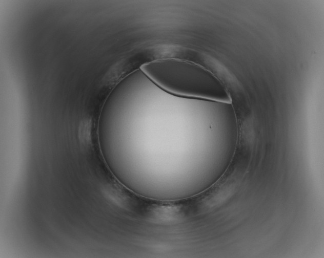 X0000110860217200906251215