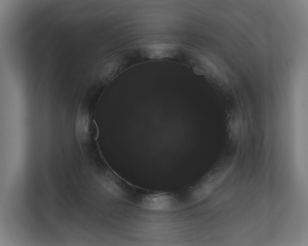 X0000110860219200906251215