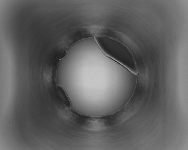 X0000110860221200906251215