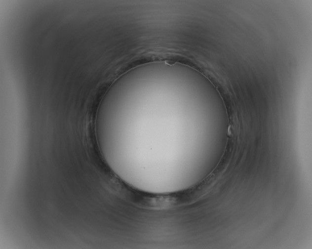 X0000110860225200906251215