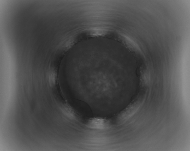 X0000110860227200906251215