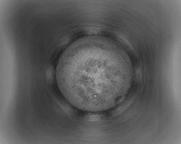 X0000110860228200906251215