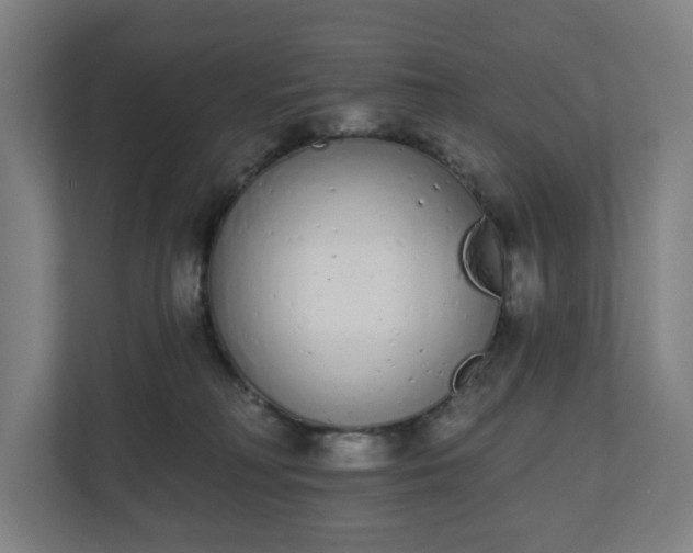 X0000110860230200906251215