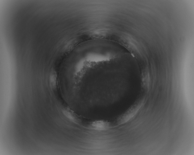 X0000110860231200906251215