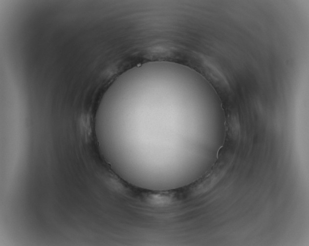 X0000110860232200906251215