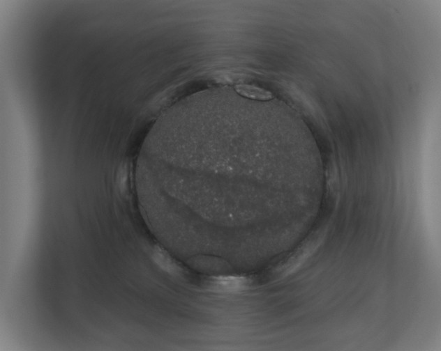 X0000110860233200906251215