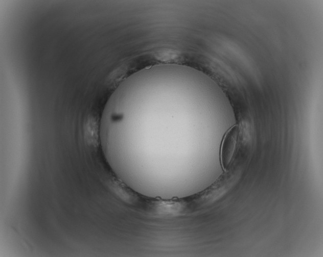 X0000110860234200906251215