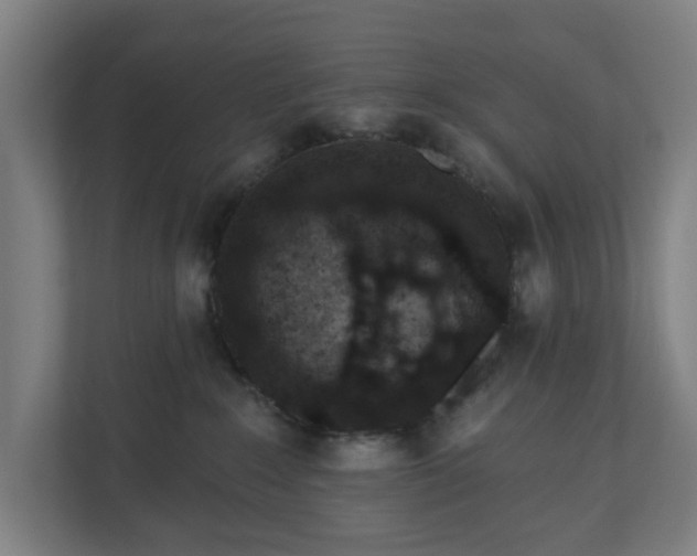 X0000110860235200906251215