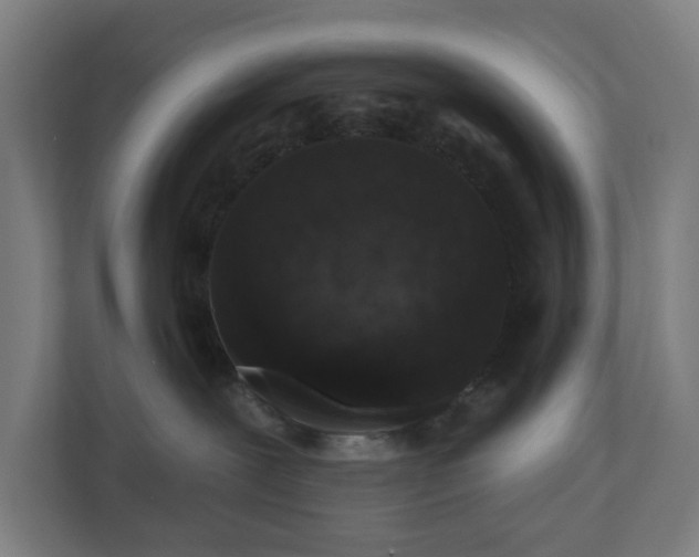 X0000110860239200906251214